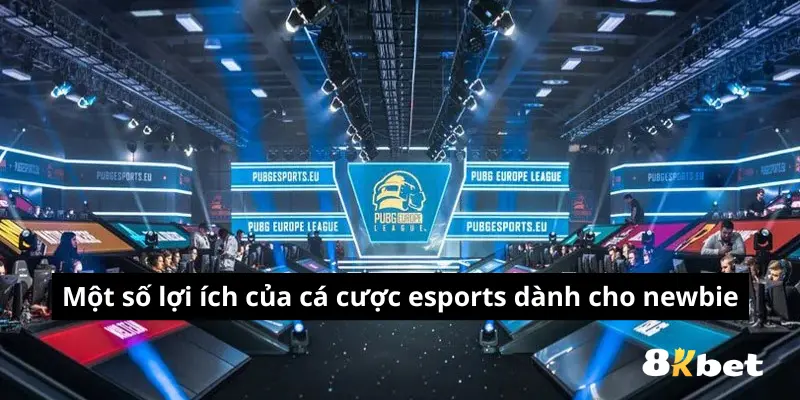 Một số lợi ích của cá cược esports dành cho newbie