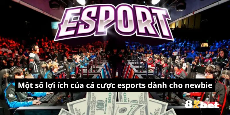 Cá Cược Esports 8kbet - Hướng Dẫn Những Điều Cần Biết