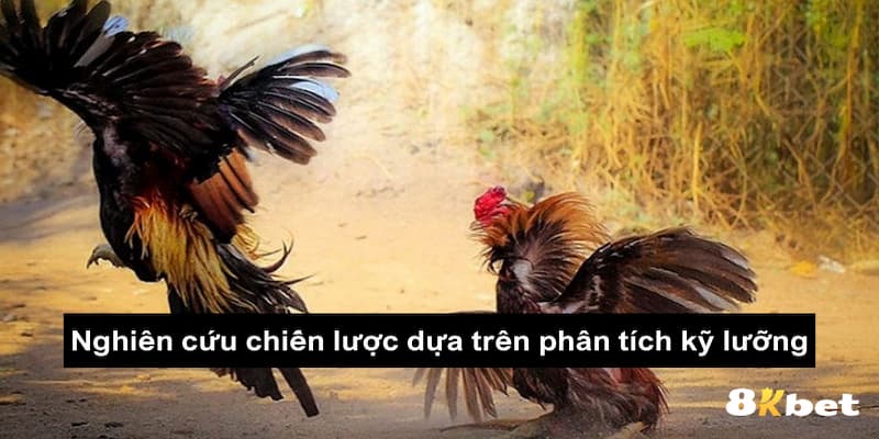 Nghiên cứu chiến lược đá gà dựa vào phân tích kỹ lưỡng